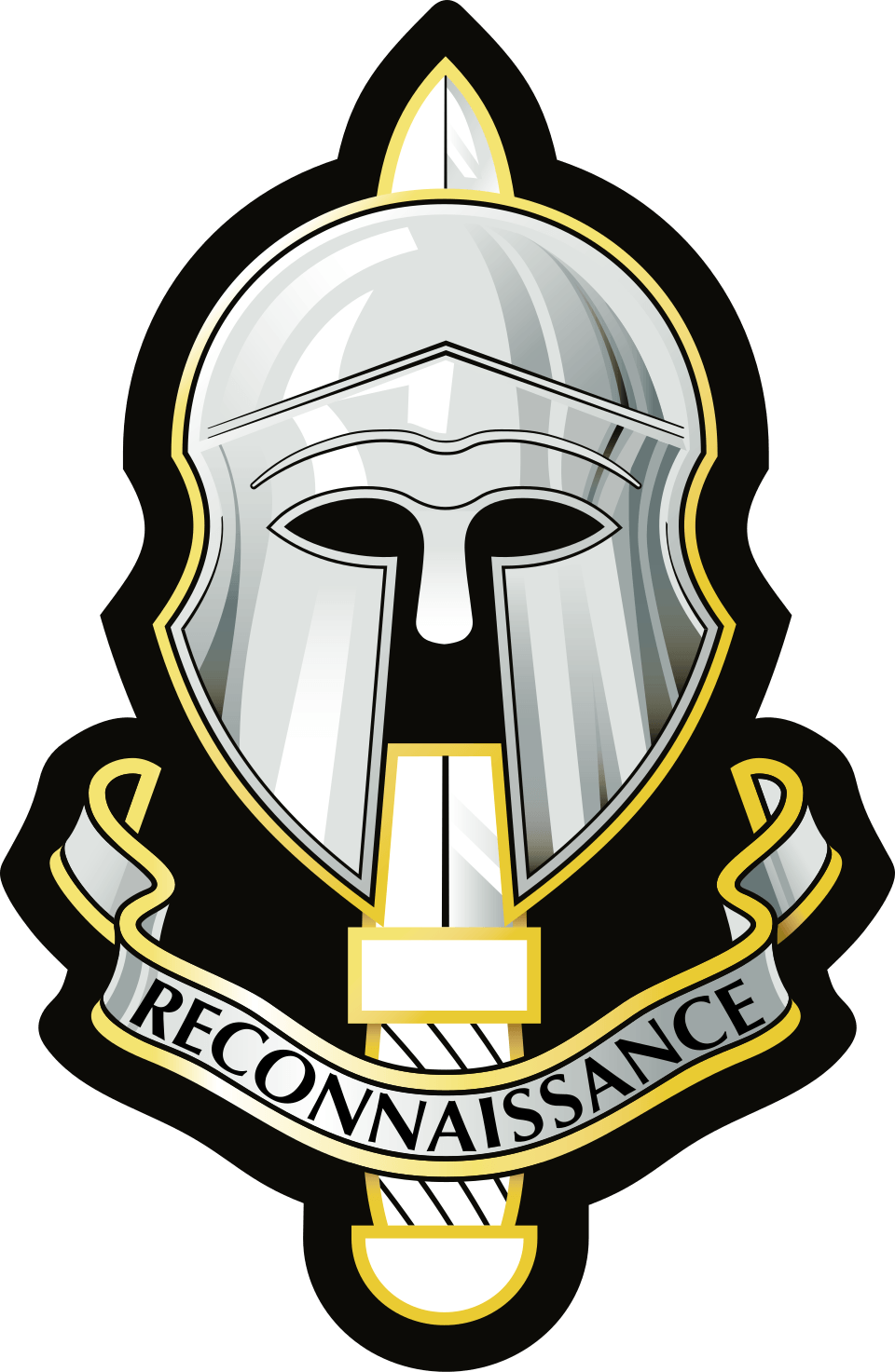 British Military Surveillance Units